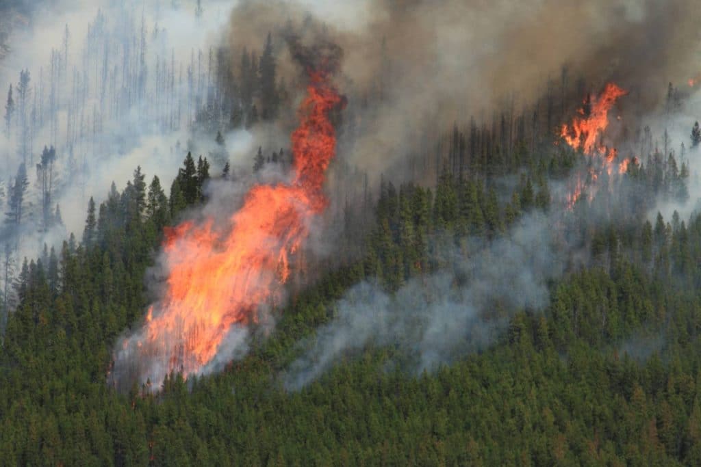 Large Fire Forces School Camp Evacuations