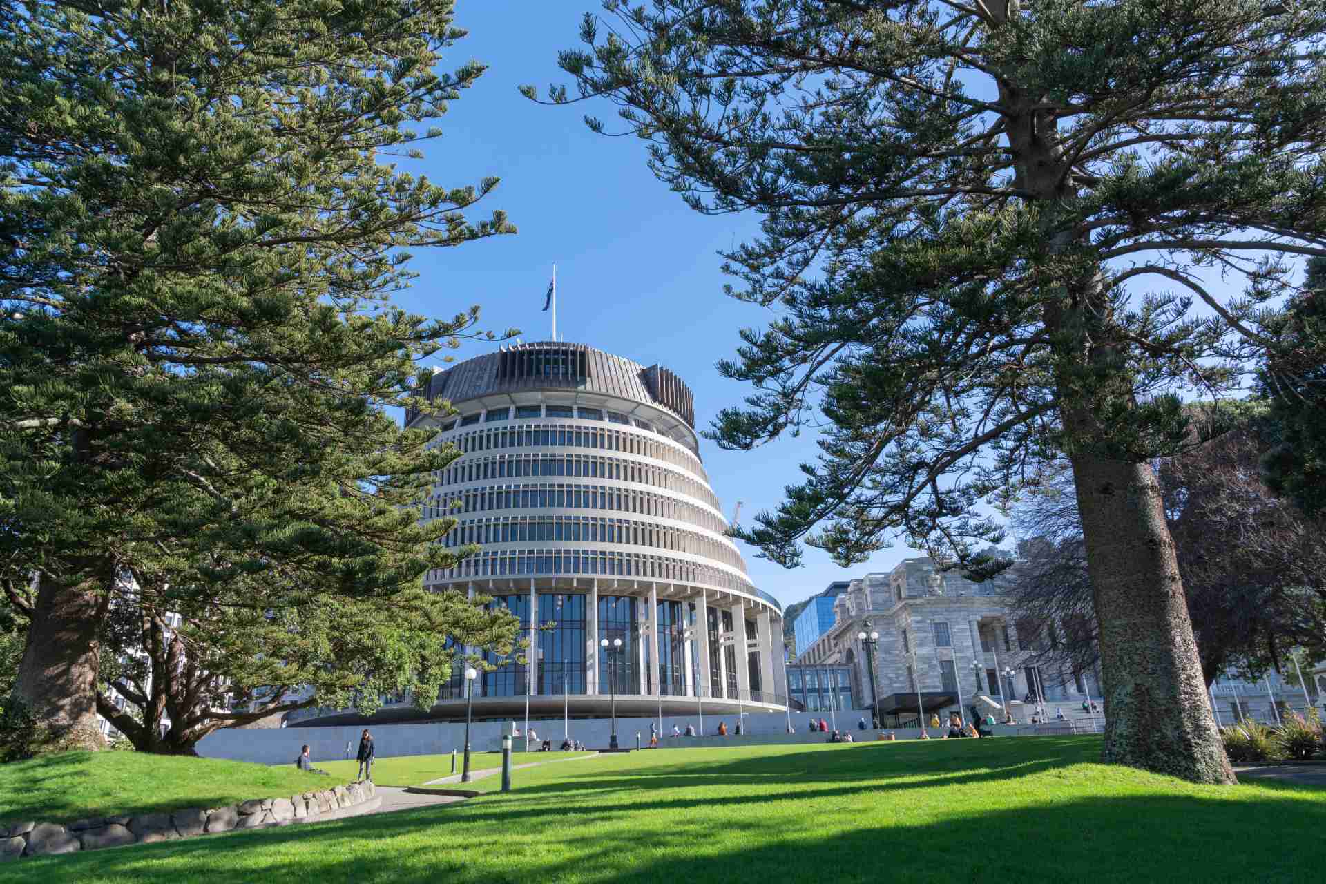 Government looks to double international student numbers