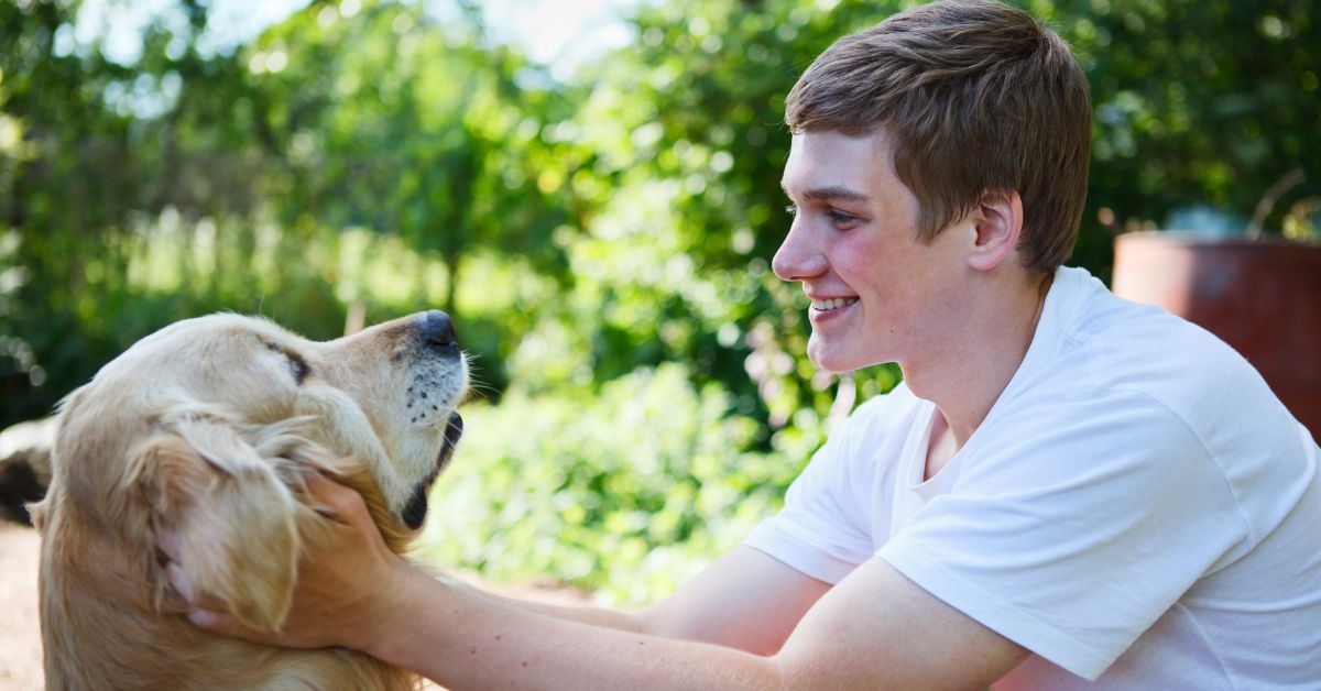 Support Dogs in Schools