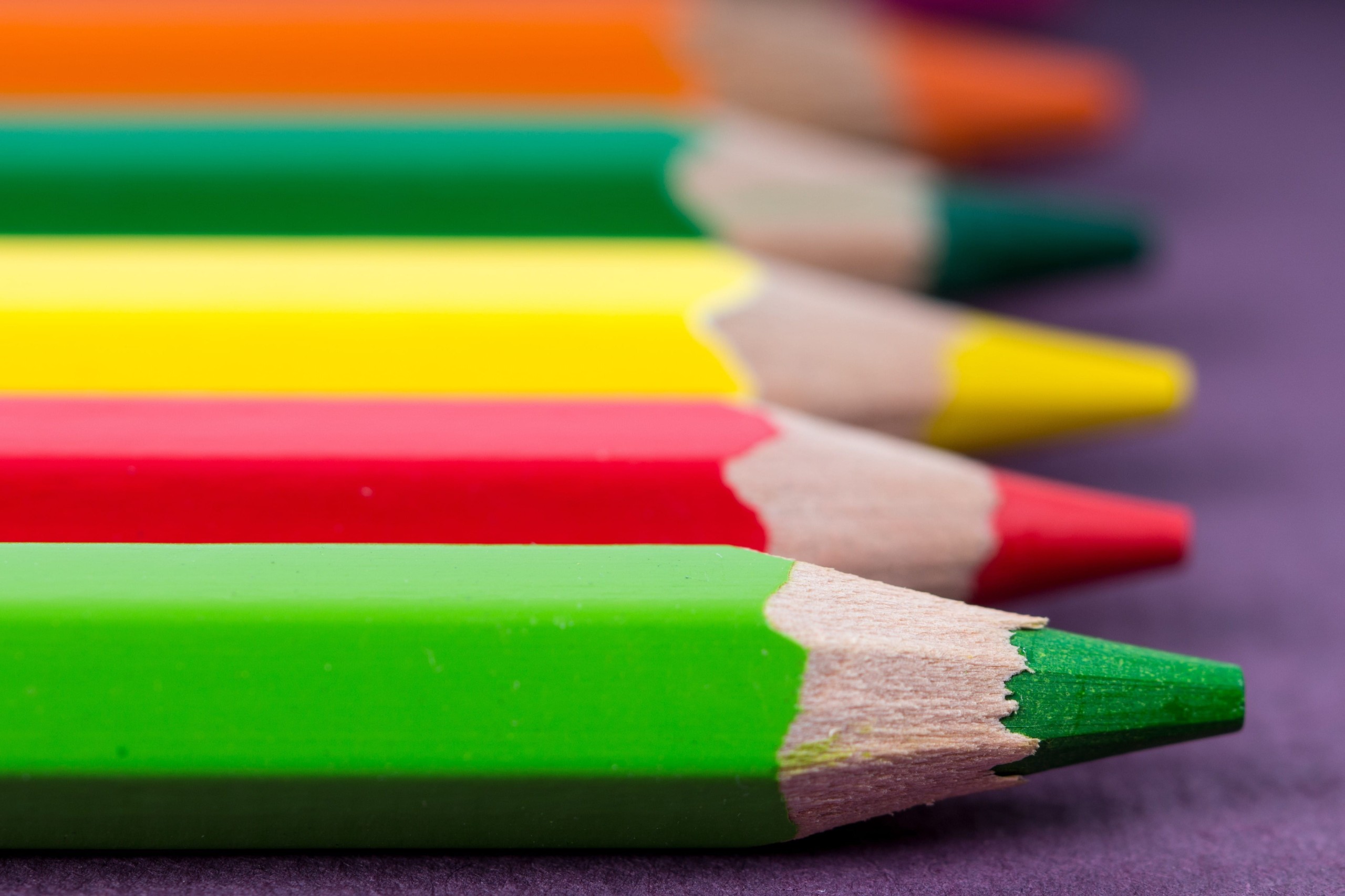 Teachers slam draft curriculum
