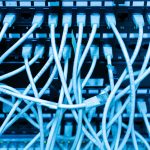 Rats take down school’s network
