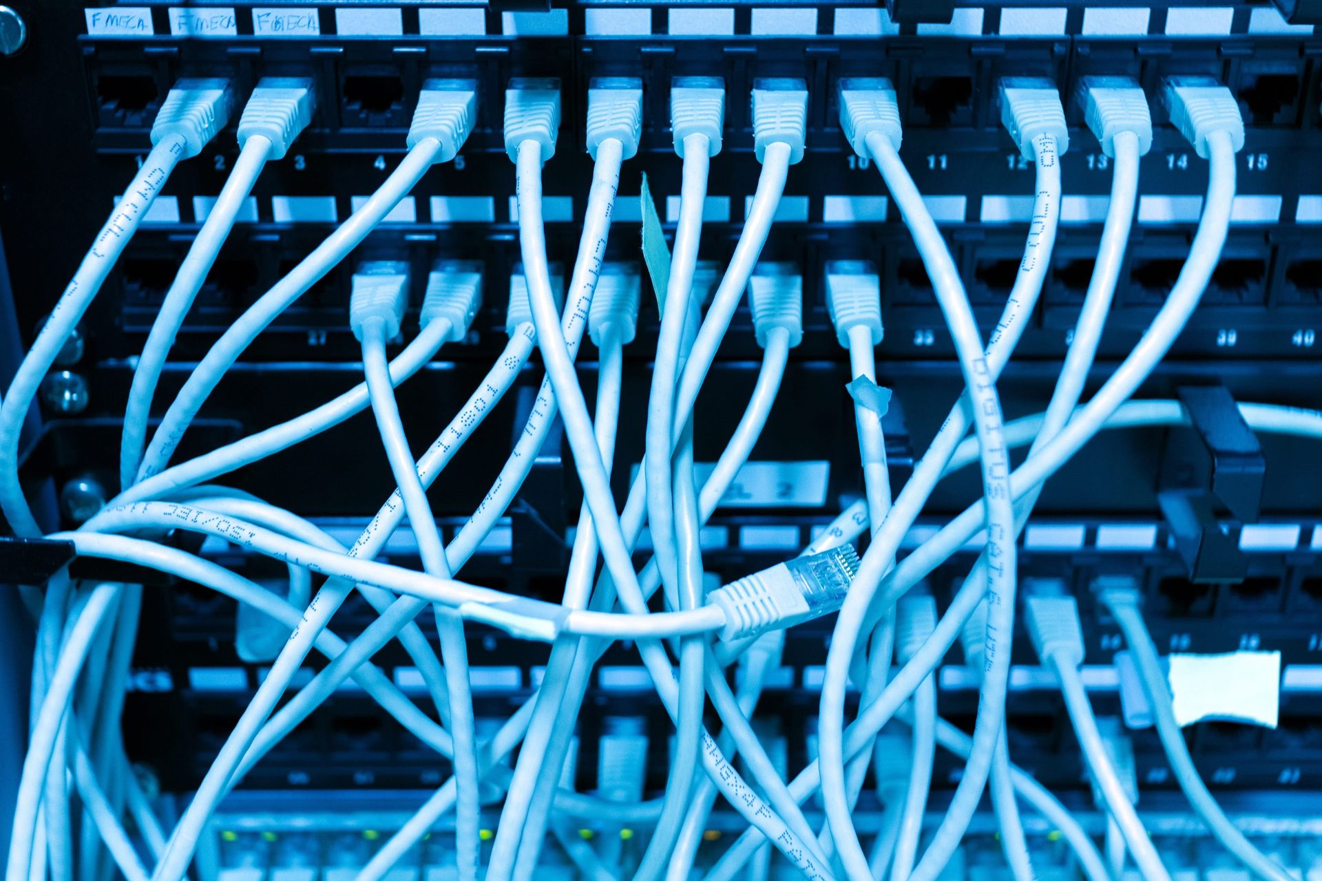 Rats take down school’s network