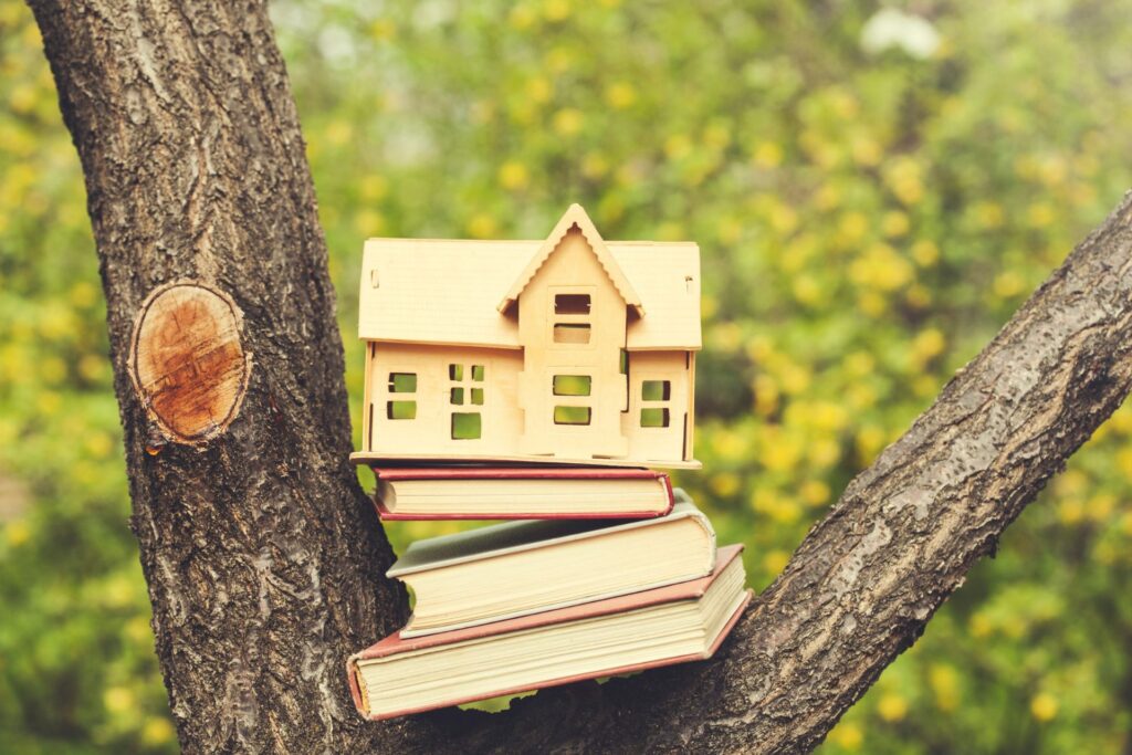 New school property agency takes over from the Ministry