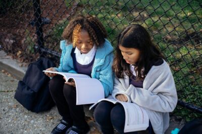 Reading comprehension scores fell through 2024, NZCER data shows
