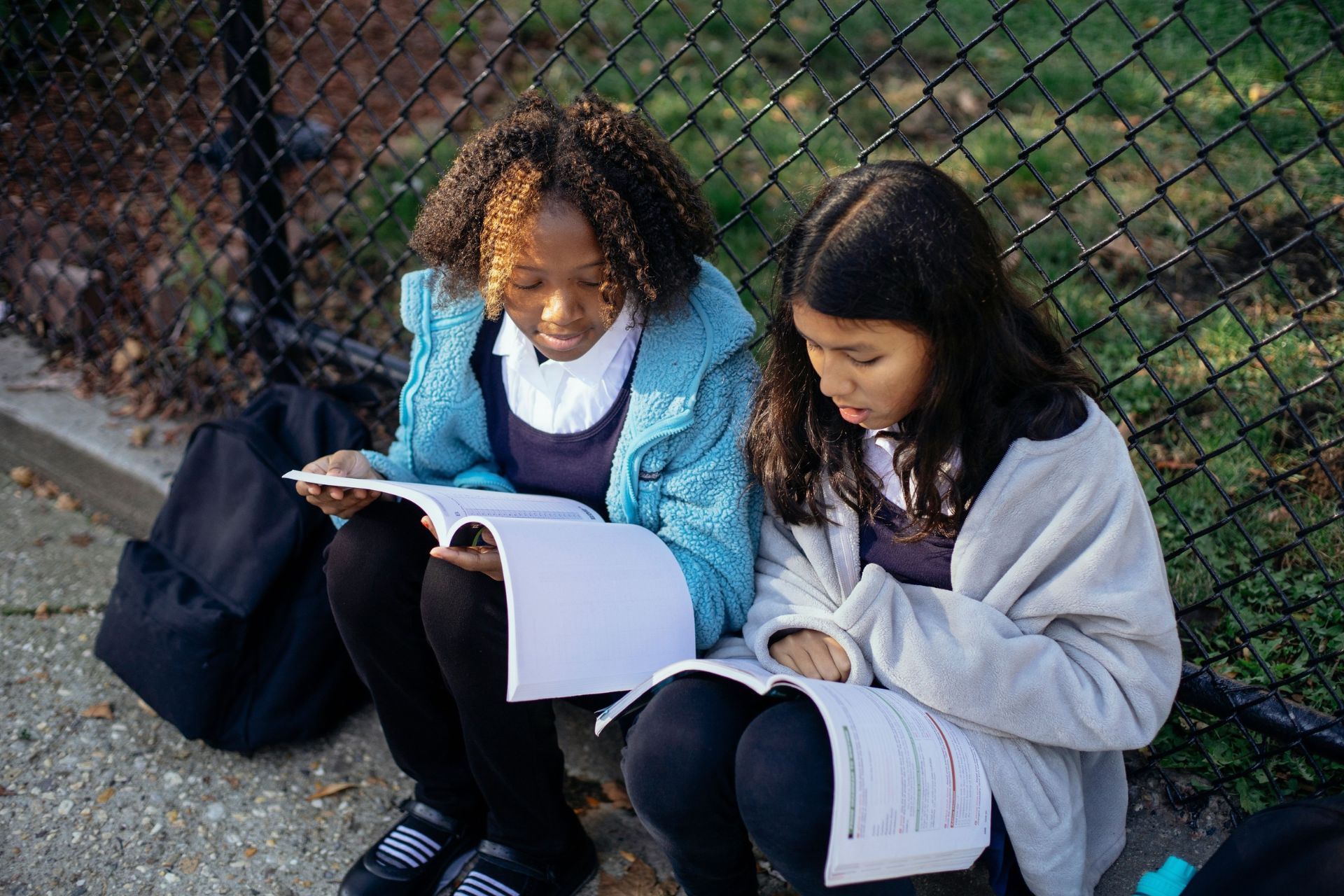 Reading comprehension scores fell through 2024, NZCER data shows